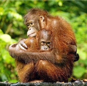 Meet your Posher, April